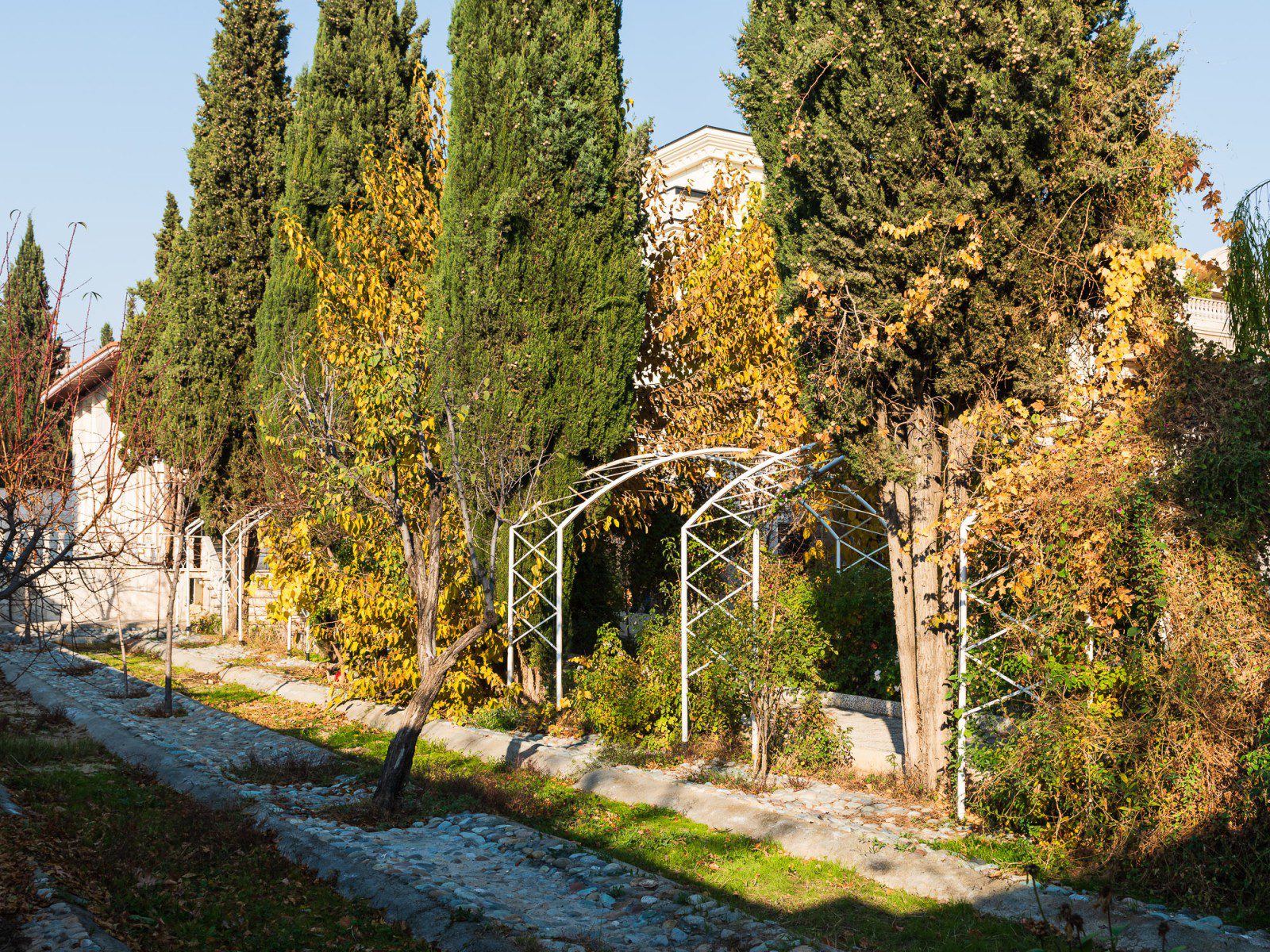 مسیر پیاده‌روی سنگ‌فرش در طراحی باغ ویلا با طاق‌های فلزی و درختان سرو بلند