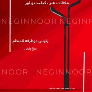 چراغ خیابانی زئوس دو طرفه، محصول صنایع روشنایی نگین نور، با طراحی مدرن و کیفیت بالا.