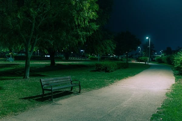 پیادهروی پارک در شب با نیمکت چوبی، نور چراغهای خیابانی و درختان دو طرف مسیر